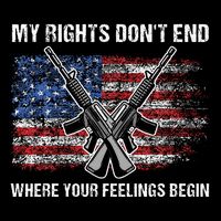 My Rights DonT End Where Your Feelings Begin American Guns Poster