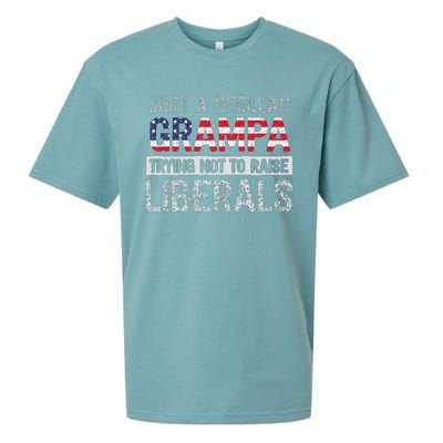 Mb Regular Grandpa Not To Raise Liberals Usa Flag Sueded Cloud Jersey T-Shirt