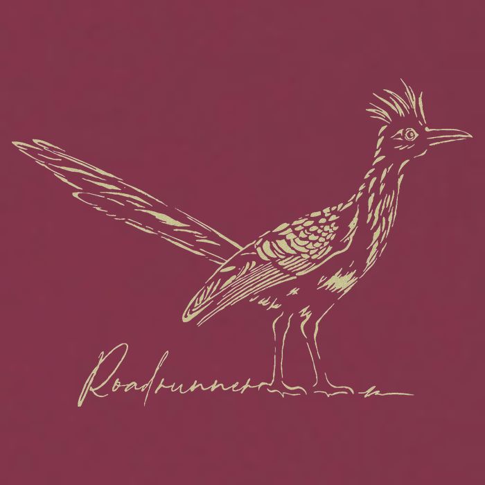 Minimalist Roadrunner Lover Distressed 16oz Travel Tumbler