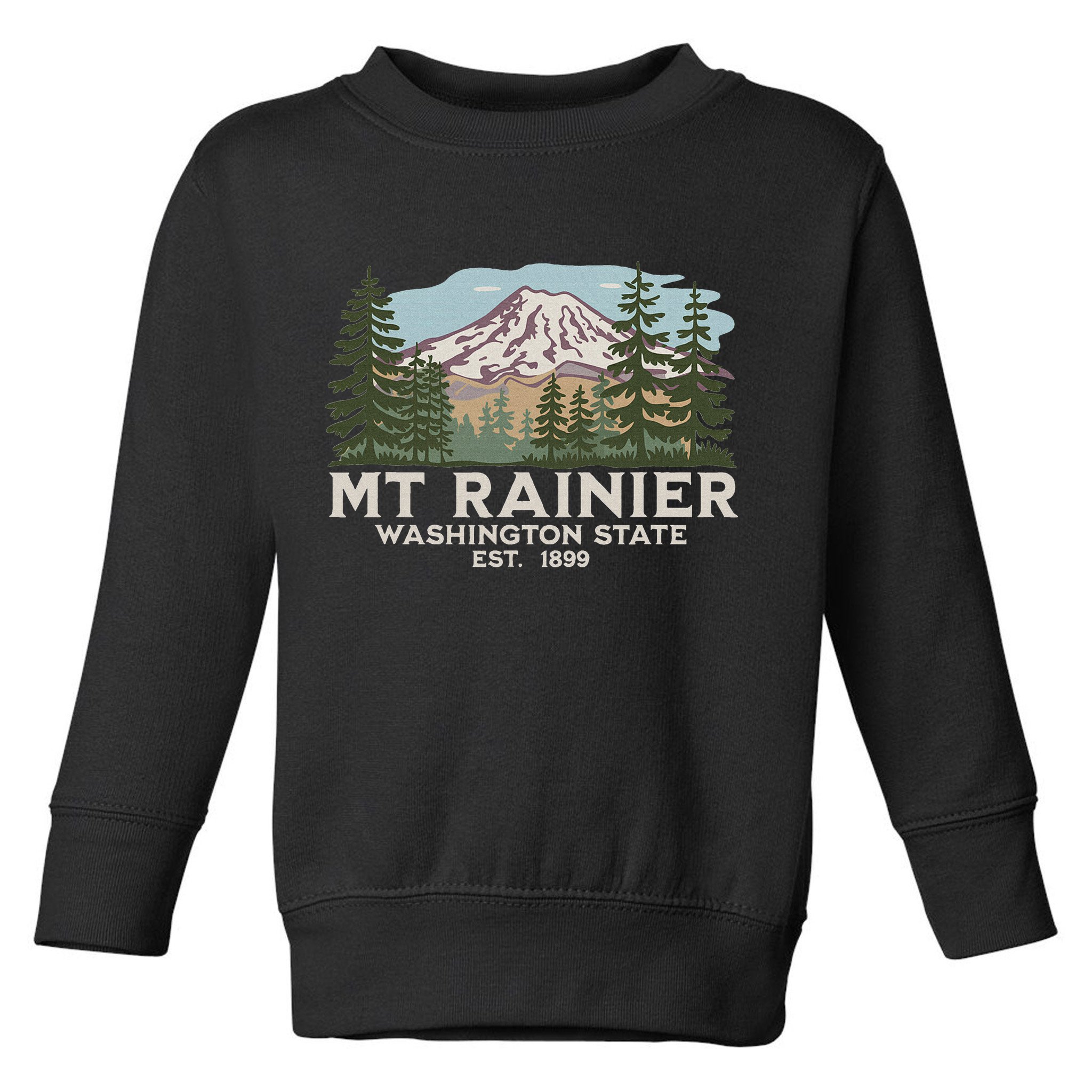 Mount R.A.I.N.I.E.R Mt Vintage Souvenir Toddler Sweatshirt