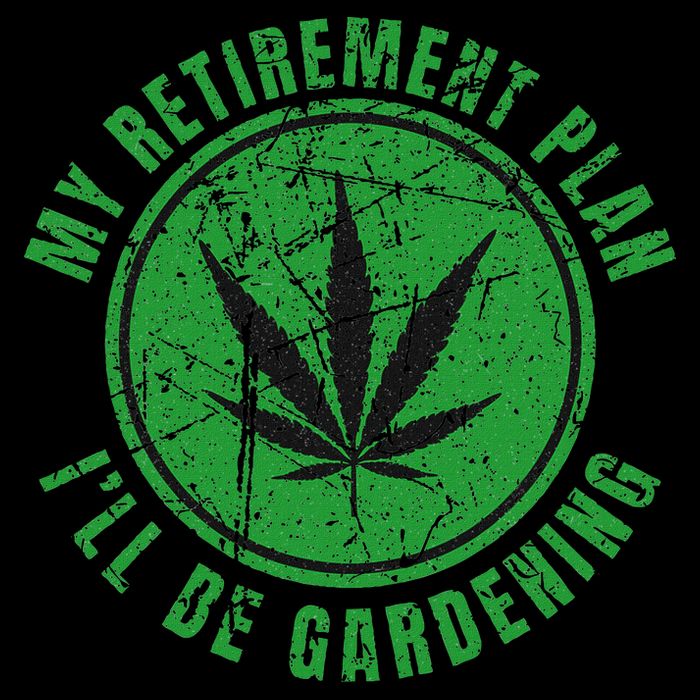 My Retirement Plan Cannabis Weed Marijuana Gardening 2024 V-Neck T-Shirt