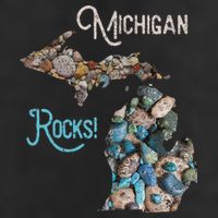 Michigan Rocks Petoskey Stone Hunting Great Lakes State 11oz C Handle Ceramic Mug