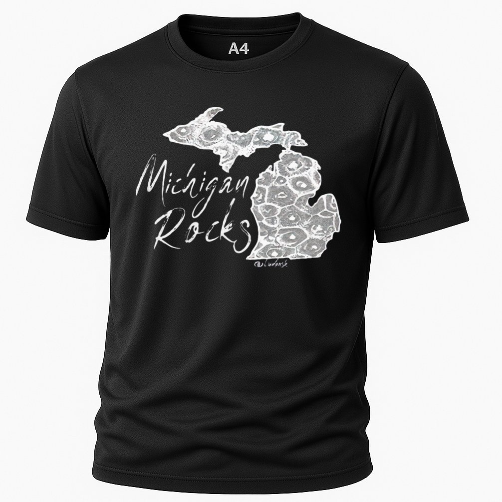MICHIGAN ROCKS PETOSKEY STONE Cooling Performance Crew T-Shirt