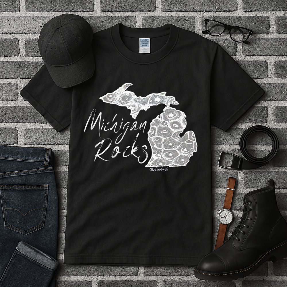 MICHIGAN ROCKS PETOSKEY STONE Tall T-Shirt