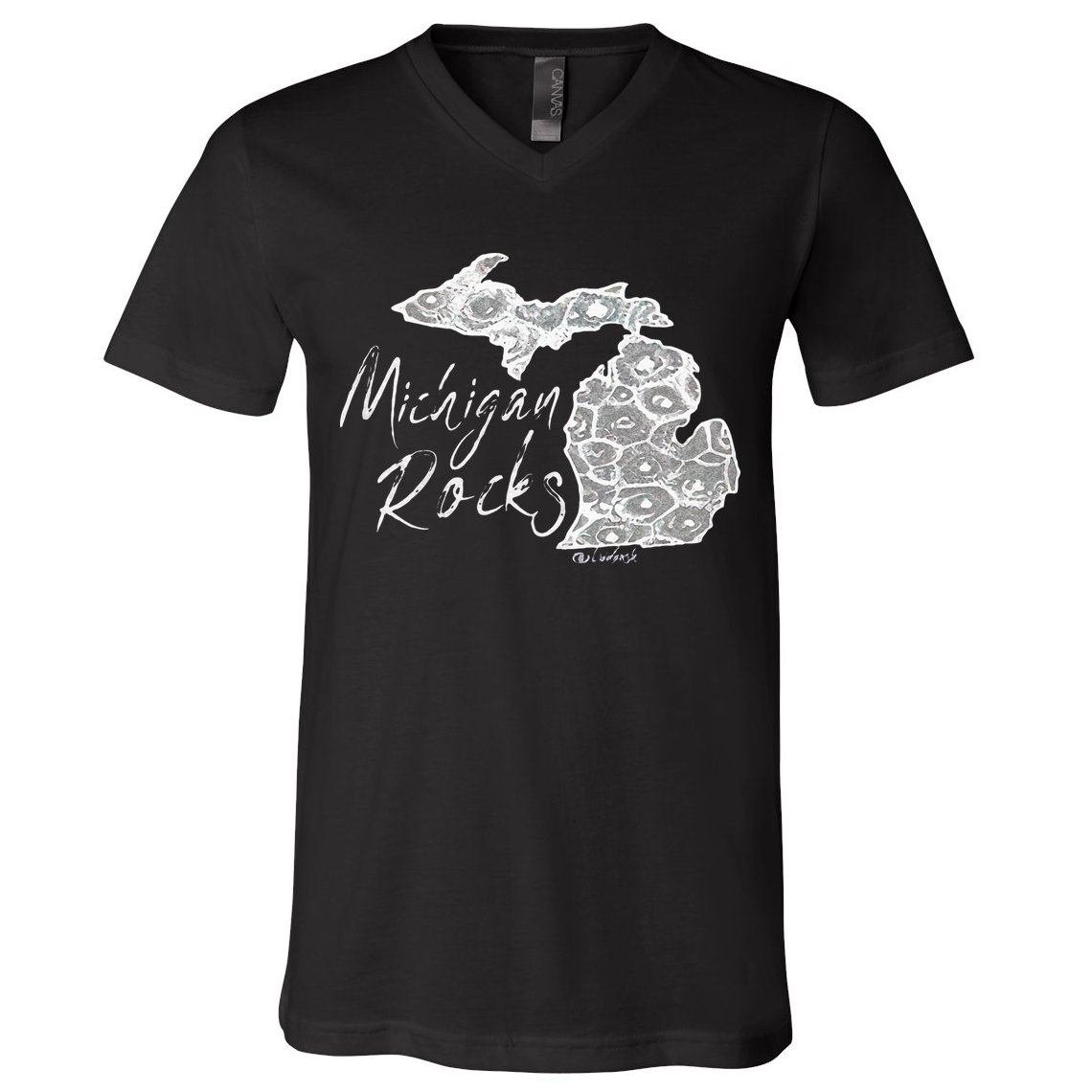 MICHIGAN ROCKS PETOSKEY STONE V-Neck T-Shirt
