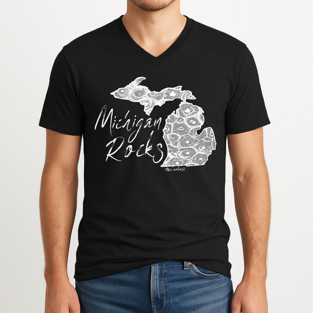 MICHIGAN ROCKS PETOSKEY STONE V-Neck T-Shirt