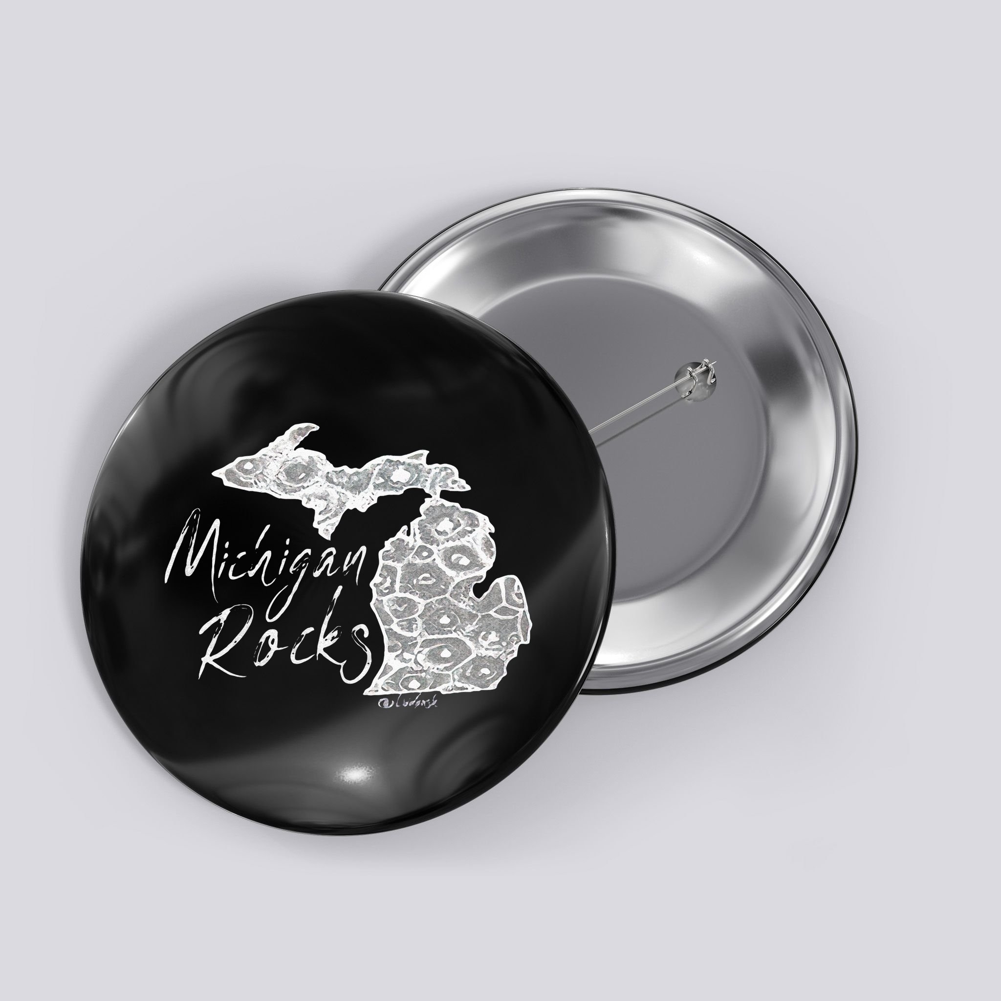 MICHIGAN ROCKS PETOSKEY STONE Button