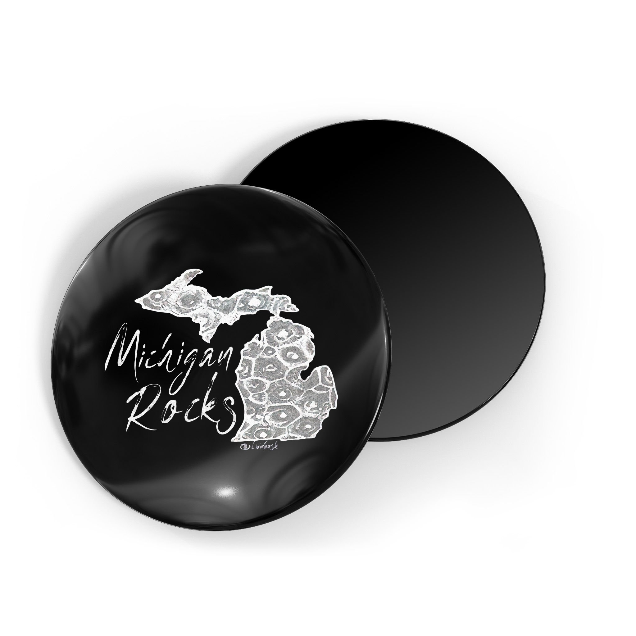MICHIGAN ROCKS PETOSKEY STONE Magnet