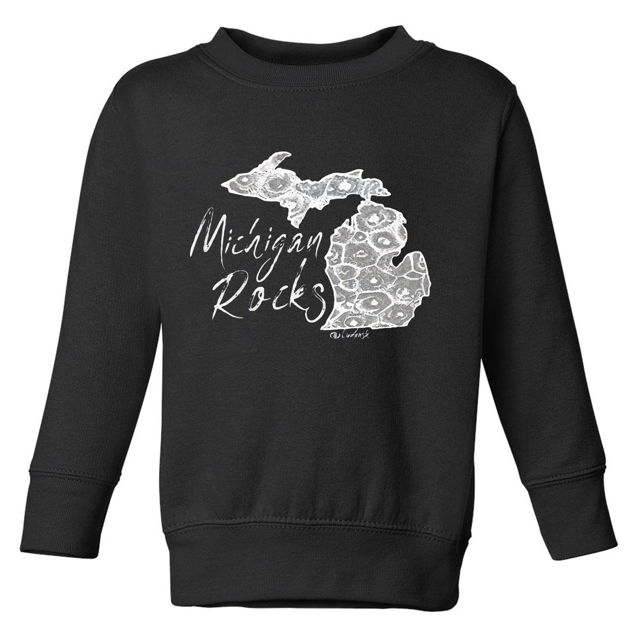 MICHIGAN ROCKS PETOSKEY STONE Toddler Sweatshirt