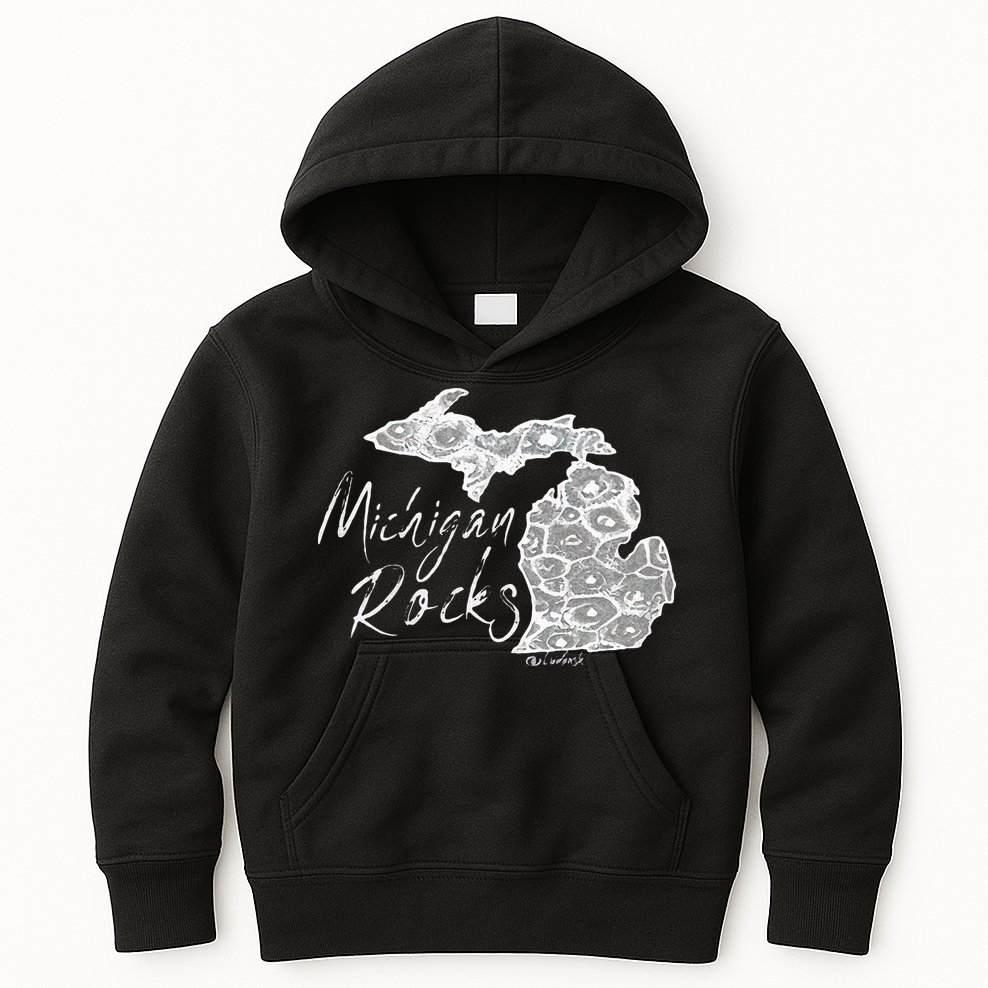 MICHIGAN ROCKS PETOSKEY STONE Kids Hoodie