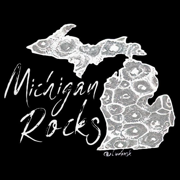 MICHIGAN ROCKS PETOSKEY STONE Kids T-Shirt