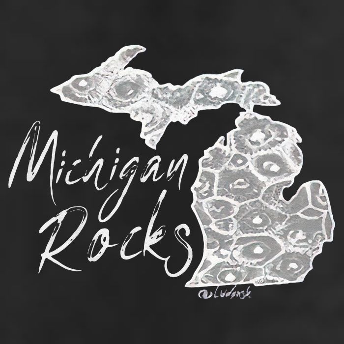 MICHIGAN ROCKS PETOSKEY STONE 7 Panel Mesh Trucker Snapback Hat