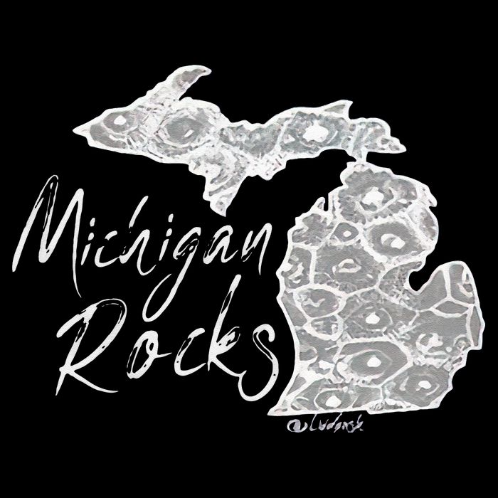 MICHIGAN ROCKS PETOSKEY STONE Sustainable Bucket Hat