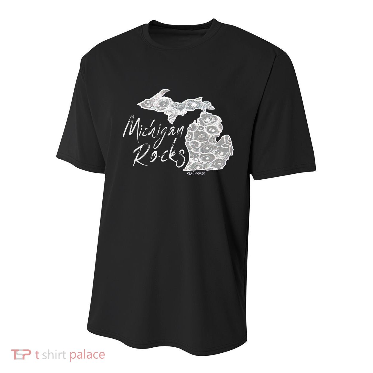 MICHIGAN ROCKS PETOSKEY STONE Youth Performance Sprint T-Shirt