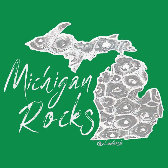 MICHIGAN ROCKS PETOSKEY STONE Premium T-Shirt