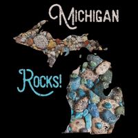 Michigan Rocks Petoskey Stone Hunting Great Lakes State Impact Tech Backpack