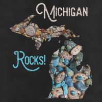 Michigan Rocks Petoskey Stone Hunting Great Lakes State 11oz C Handle Ceramic Mug