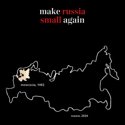 Make Russia Small Again President Volodymyr Zelensky T-Shirt