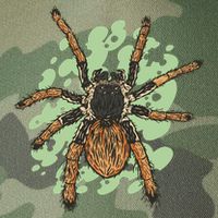 Megaphobema Robustum Tarantula Spider Legacy Tie Dye Trucker Hat