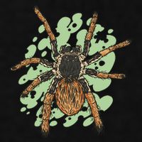 Megaphobema Robustum Tarantula Spider Ladies PosiCharge Tri-Blend Wicking Tank