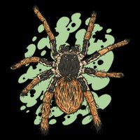 Megaphobema Robustum Tarantula Spider Backpack