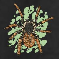 Megaphobema Robustum Tarantula Spider Crop Fleece Hoodie