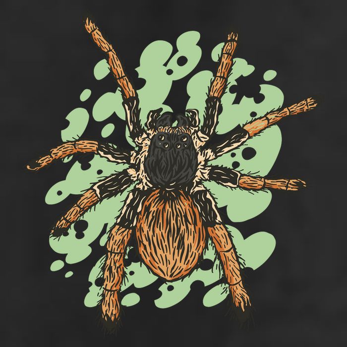 Megaphobema Robustum Tarantula Spider Crop Fleece Hoodie