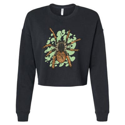 Megaphobema Robustum Tarantula Spider Cropped Pullover Crew