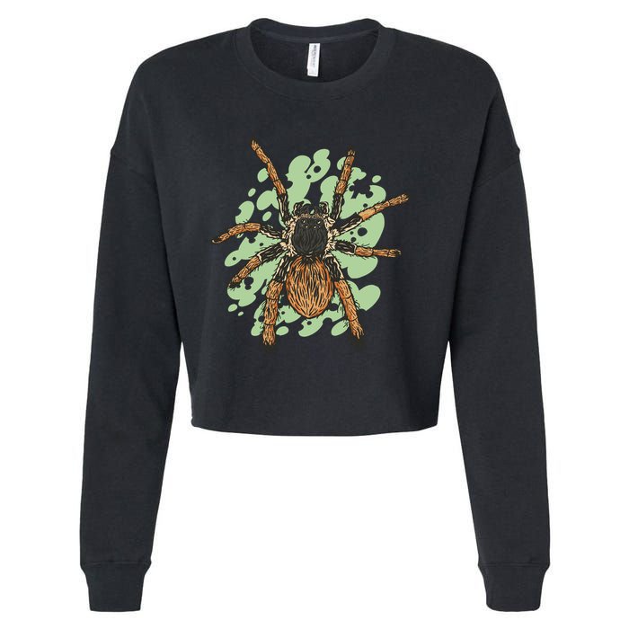 Megaphobema Robustum Tarantula Spider Cropped Pullover Crew