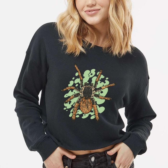 Megaphobema Robustum Tarantula Spider Cropped Pullover Crew