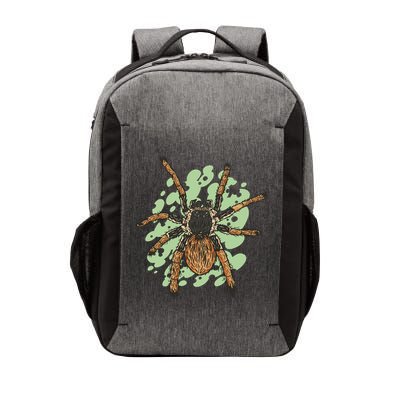 Megaphobema Robustum Tarantula Spider Vector Backpack