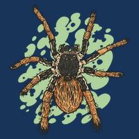 Megaphobema Robustum Tarantula Spider 7-Panel Snapback Hat