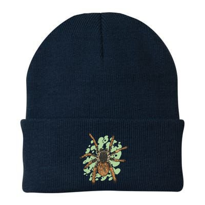 Megaphobema Robustum Tarantula Spider Beanie
