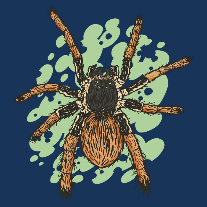 Megaphobema Robustum Tarantula Spider Drawstring Bag