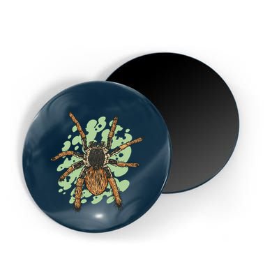 Megaphobema Robustum Tarantula Spider Magnet