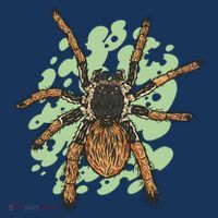 Megaphobema Robustum Tarantula Spider Toddler T-Shirt