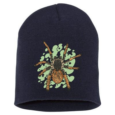 Megaphobema Robustum Tarantula Spider Short Acrylic Beanie