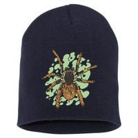 Megaphobema Robustum Tarantula Spider Short Acrylic Beanie