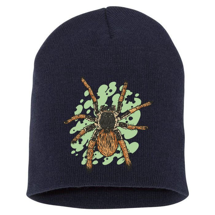 Megaphobema Robustum Tarantula Spider Short Acrylic Beanie