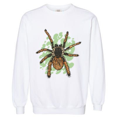 Megaphobema Robustum Tarantula Spider Garment-Dyed Sweatshirt