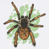 Megaphobema Robustum Tarantula Spider Garment-Dyed Sweatshirt