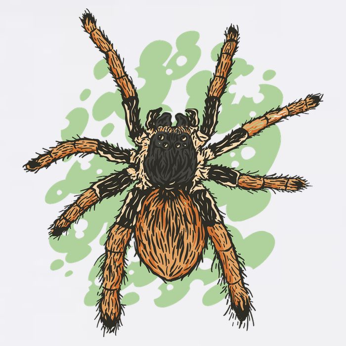 Megaphobema Robustum Tarantula Spider Garment-Dyed Sweatshirt