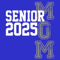 Mom Senior 2025 Proud Mom Of A Class Of 2025 Graduate Gift Hoodie