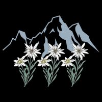Mountains Switzerland Alps Edelweiss Basket Alpine Flower Gift Drawstring Bag