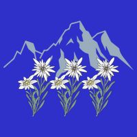 Mountains Switzerland Alps Edelweiss Basket Alpine Flower Gift 16 in Basic Backpack