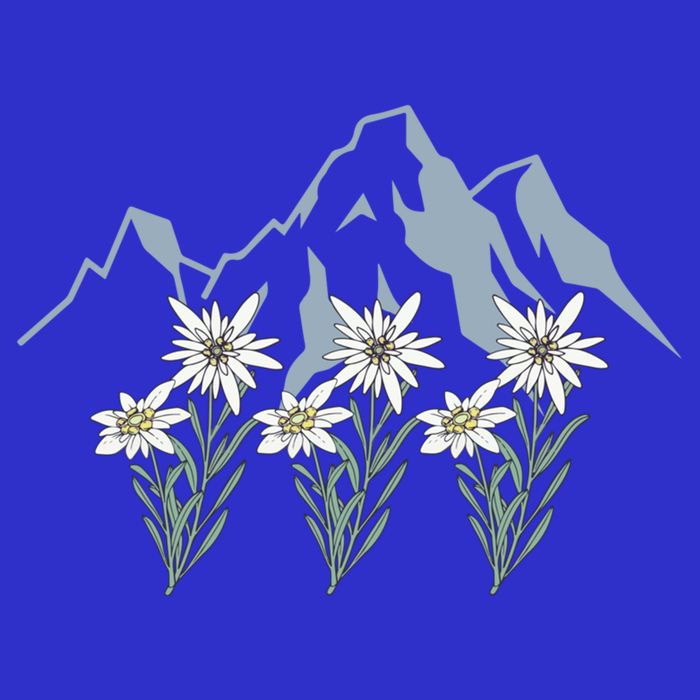 Mountains Switzerland Alps Edelweiss Basket Alpine Flower Gift 16 in Basic Backpack
