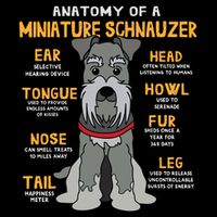 Miniature Schnauzer Anatomy Funny Dog Mum Dad Gift City Backpack
