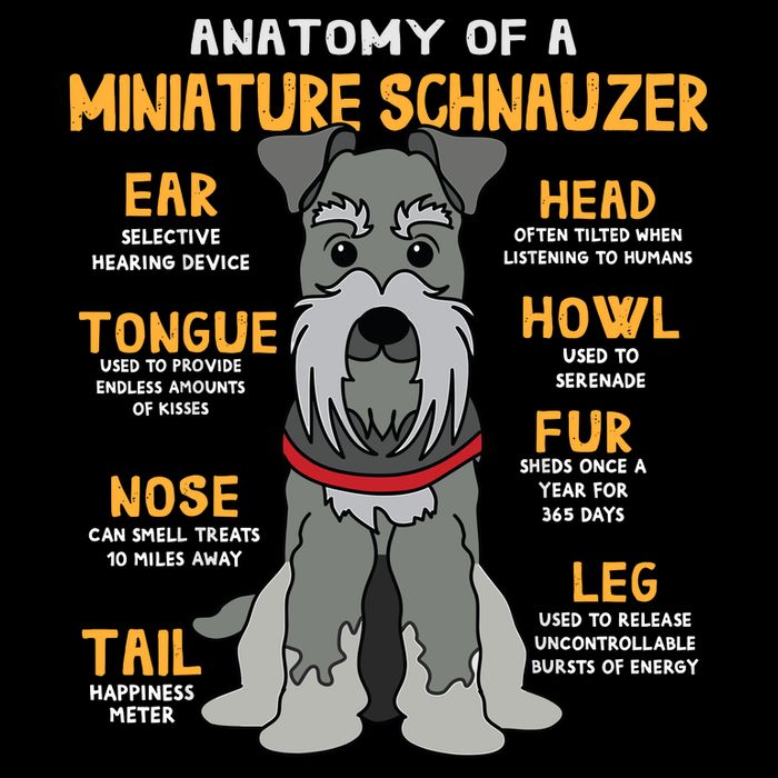 Miniature Schnauzer Anatomy Funny Dog Mum Dad Gift City Backpack