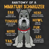 Miniature Schnauzer Anatomy Funny Dog Mum Dad Gift 11oz C Handle Ceramic Mug