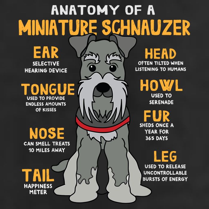 Miniature Schnauzer Anatomy Funny Dog Mum Dad Gift 11oz C Handle Ceramic Mug